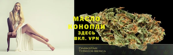 мет Новозыбков
