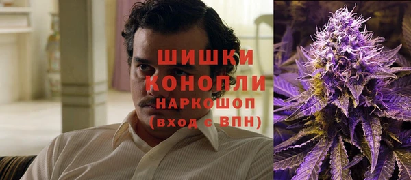 мет Новозыбков
