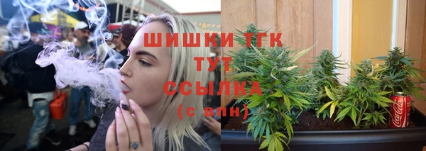 мяу мяу мука Няндома