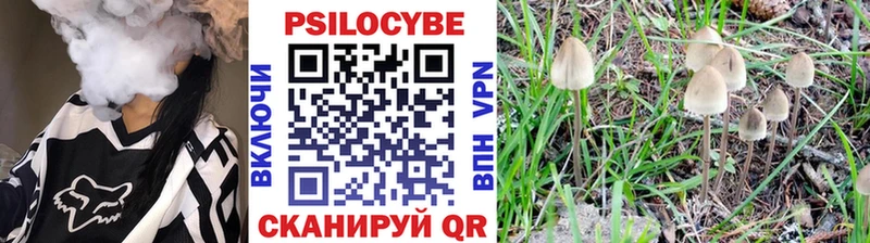 Галлюциногенные грибы Psilocybine cubensis Рославль